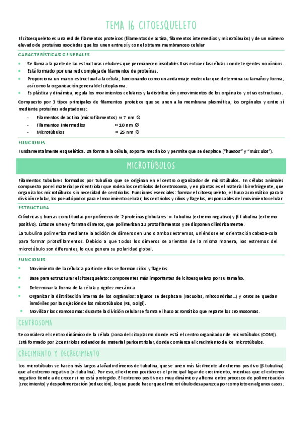 Miniatura del documento TEMA-16.pdf