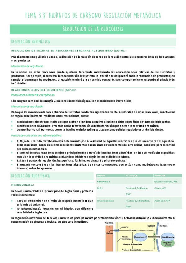 Miniatura del documento TEMA-3.3-METABOLISMO.pdf