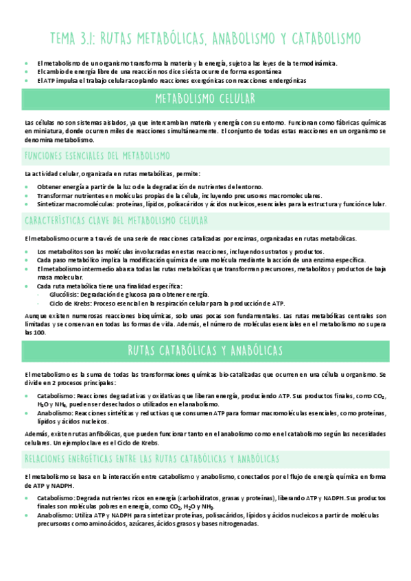 Miniatura del documento TEMA-3.1-METABOLISMO.pdf