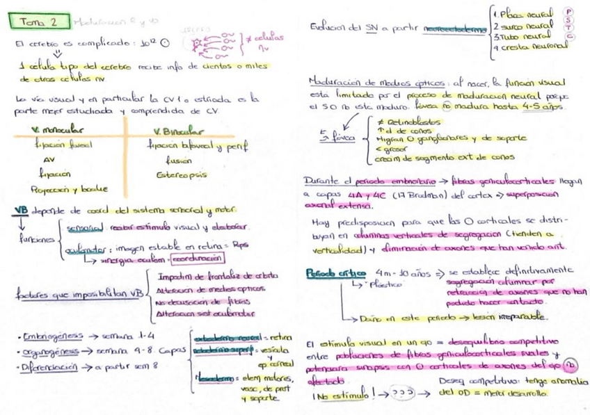 Miniatura del documento VB-COMPLETO.pdf