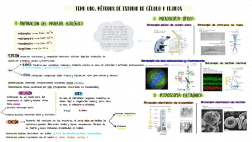 Miniatura del documento Tema-1-bio-esquema.pdf