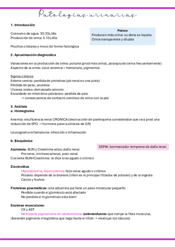 Miniatura del documento 29.-Patologias-urinarias.pdf