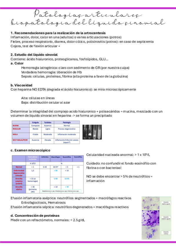 Miniatura del documento 40.-Patologias-articulares.pdf