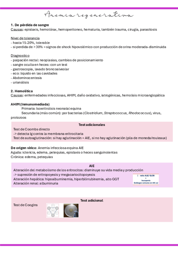 Miniatura del documento 43.-Anemia-regenerativa.pdf