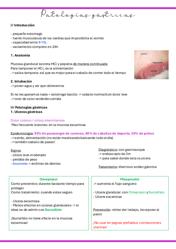 Miniatura del documento 2.-Patologias-gastricas.pdf