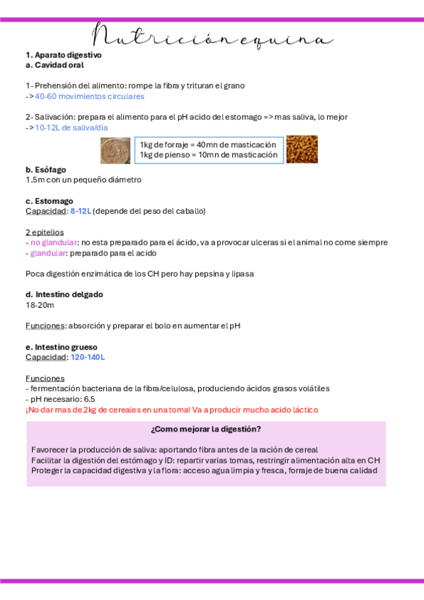 Miniatura del documento 3.-Nutricion-equina.pdf