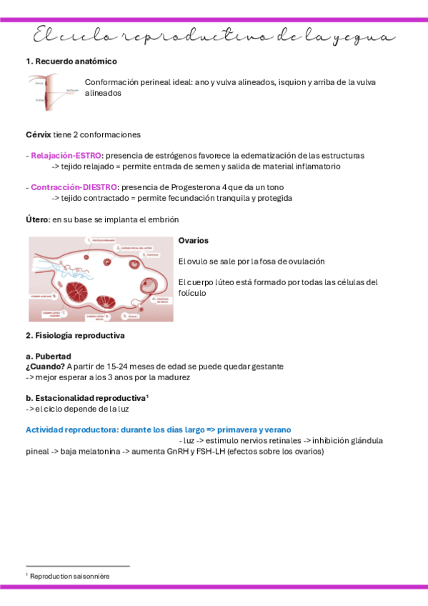 Miniatura del documento 4.-El-ciclo-reproductivo-de-la-yegua.pdf
