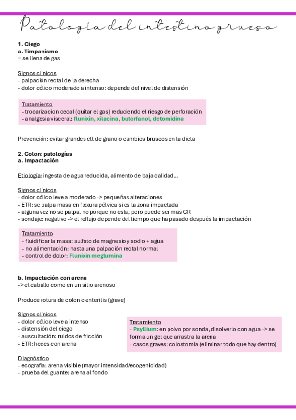 Miniatura del documento 10.-Patologia-del-IG.pdf