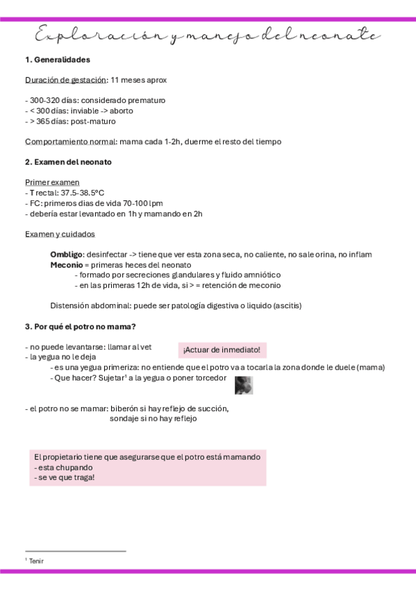 Miniatura del documento 12.-Exploracion-y-manejo-del-neonate.pdf