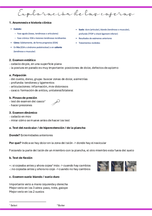 Miniatura del documento 13.-Exploracion-de-las-cojeras.pdf