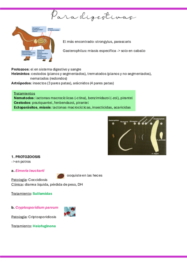 Miniatura del documento 15.-Para-digestivas.pdf
