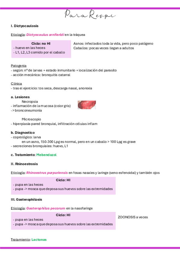 Miniatura del documento 17.-Para-Respi.pdf