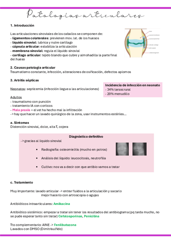 Miniatura del documento 19.-Patologias-articulares.pdf