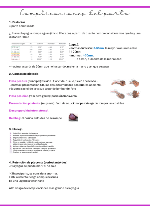 Miniatura del documento 21.-Complicaciones-del-parto.pdf