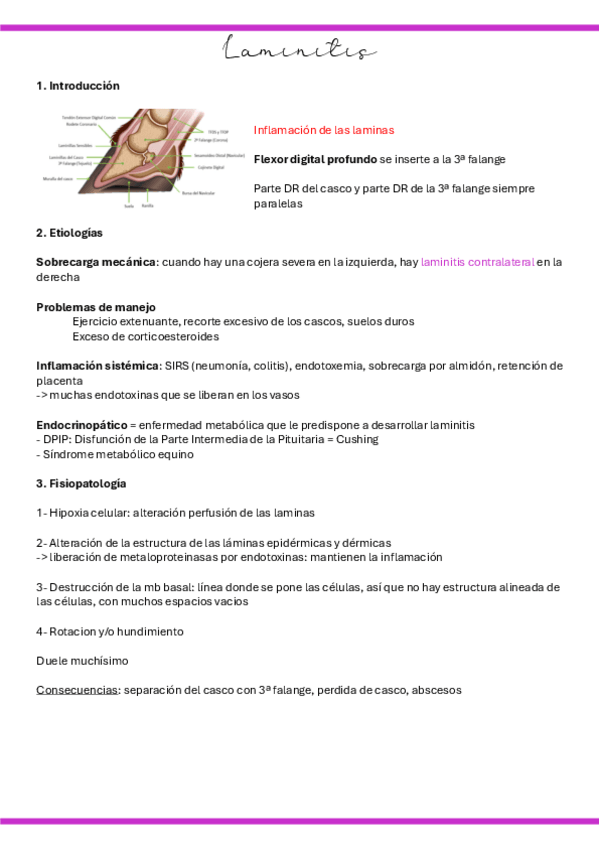 Miniatura del documento 23.-Laminitis.pdf