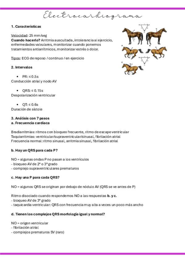 Miniatura del documento S6.-Electrocardiograma.pdf