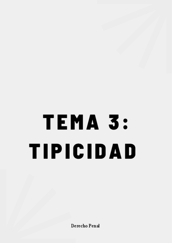 Miniatura del documento TEMA-3-Tipicidad.pdf