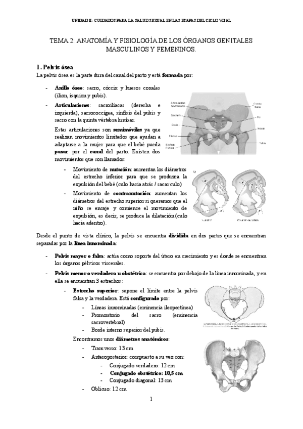 Miniatura del documento Sexual-2-24-25.pdf