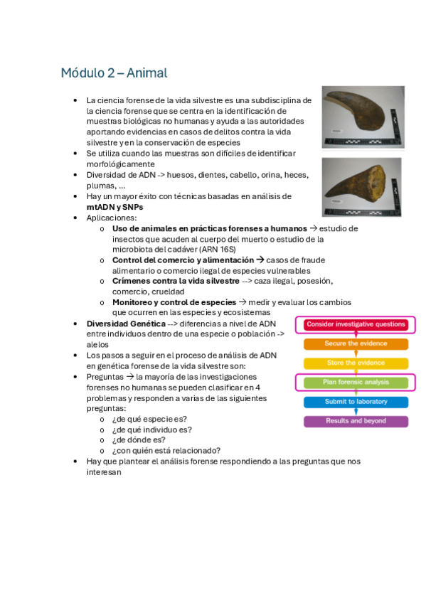Miniatura del documento Apuntes-Forense-Parte-2.pdf