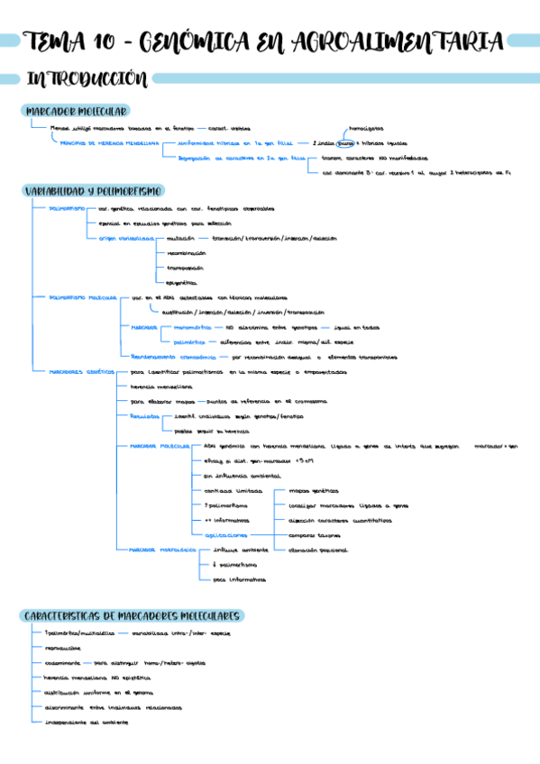 Miniatura del documento Esquema-T10-BI2226.pdf