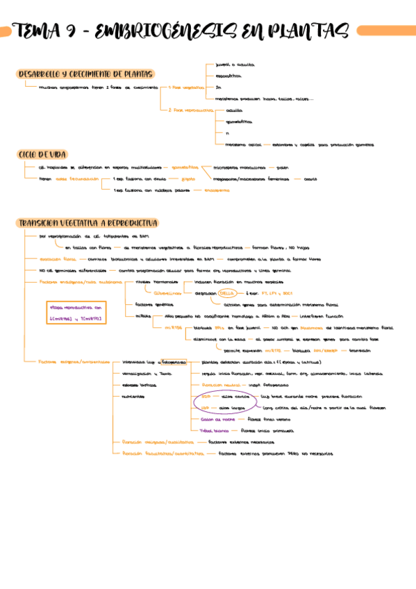 Miniatura del documento Esquema-T9-BI2228.pdf