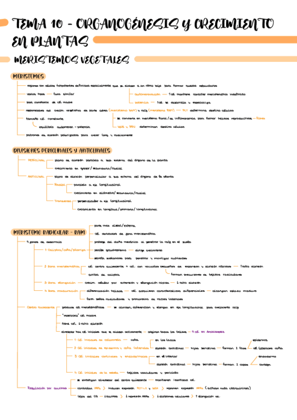 Miniatura del documento Esquema-T10-BI2228.pdf