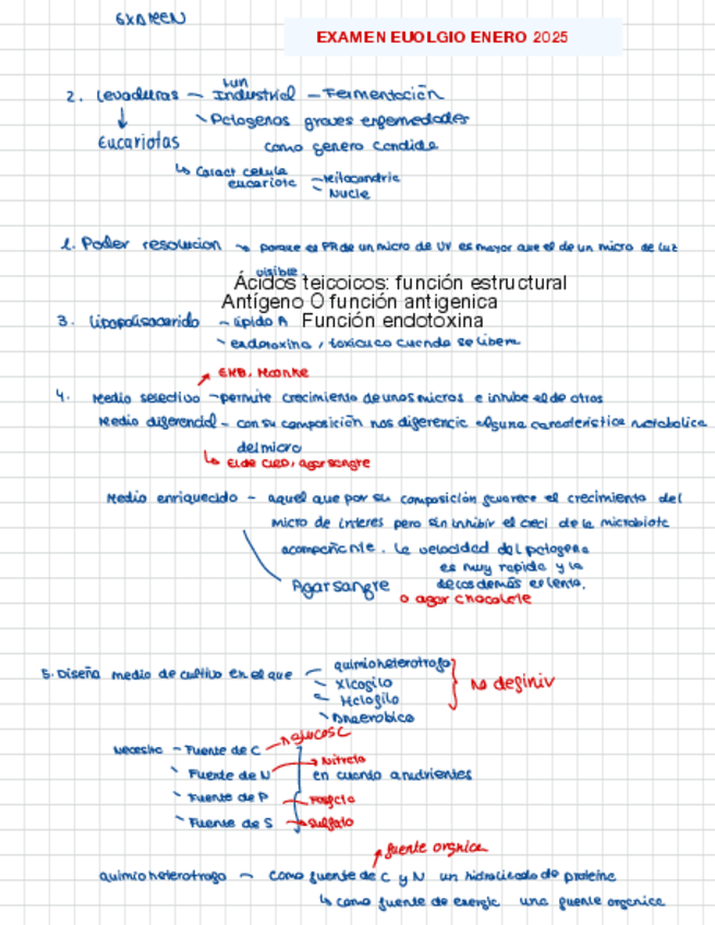 Miniatura del documento Examen-Eulogio-Enero-2025.pdf