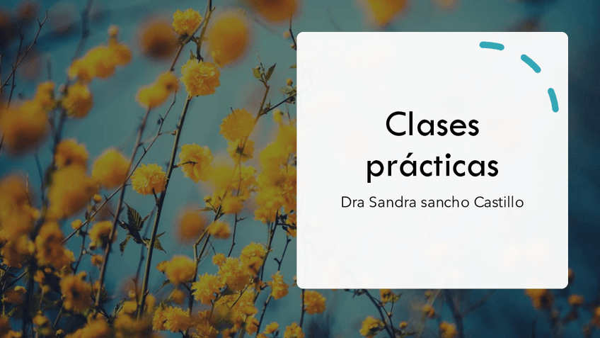 Miniatura del documento cuidados-adulto-clases-practicas-con-solucion-2-2-4-3-2.pdf