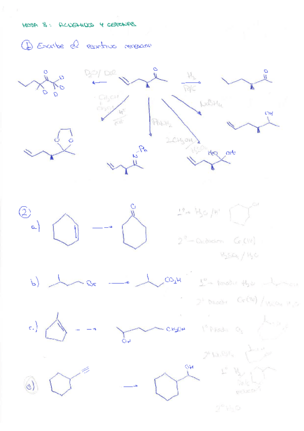 Miniatura del documento HOJA-8.pdf