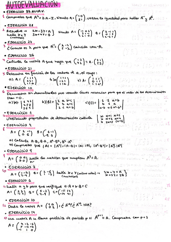 Miniatura del documento EJERCICIOS-PARA-PRACTICAR-1-evaluacion-MATES-CCSS-MATRICES-DETERMINANTES-SISTEMAS-DE-ECUACIONES-PROGRAMACION-LINEAL-1-evaluacion-2-bachillerato.pdf