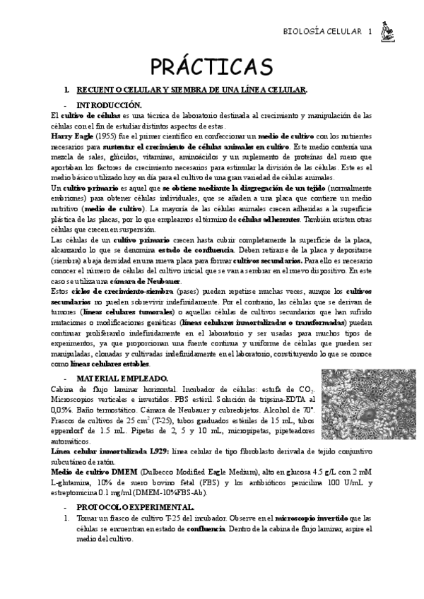 Miniatura del documento APUNTES-PRACTICAS.pdf