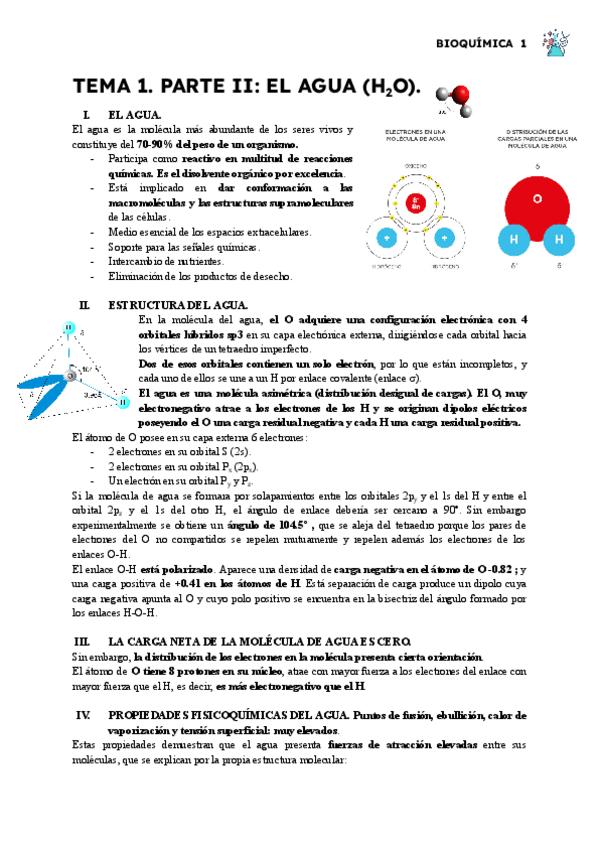 Miniatura del documento TEMA-1-PARTE-II.pdf