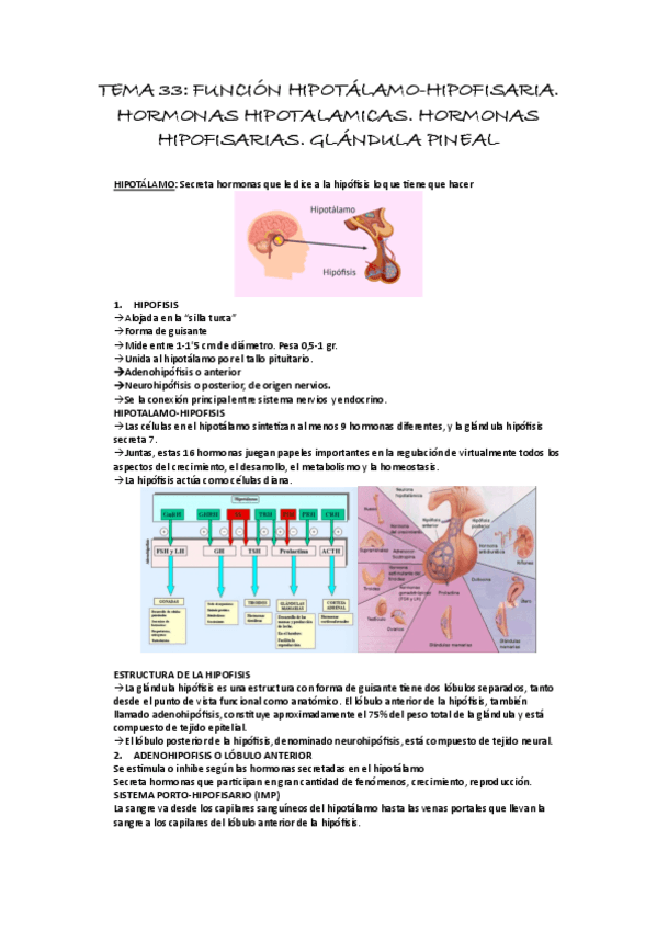 Miniatura del documento TEMA-33-SISTEMA-ENDOCRINO.pdf