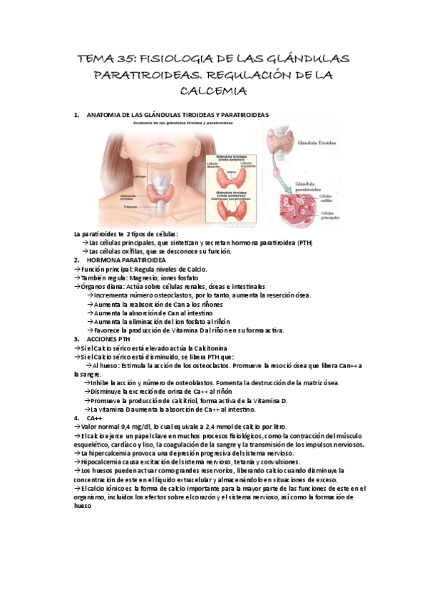 Miniatura del documento TEMA-35-SISTEMA-ENDOCRINO.pdf