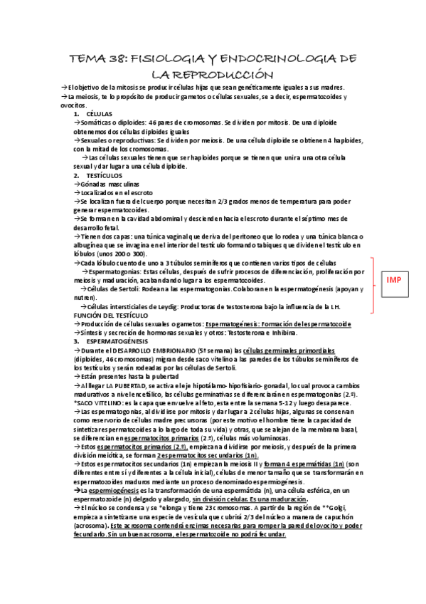 Miniatura del documento TEMA-38-SISTEMA-ENDOCRINO.pdf