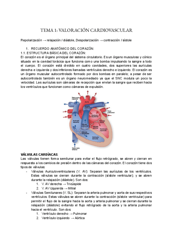 Miniatura del documento 1er-parcial--trauma-circulatorio-y-oncohemato.pdf