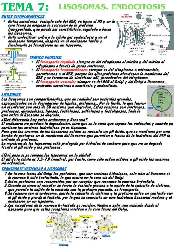 Miniatura del documento tema7-citologia-resumen.pdf