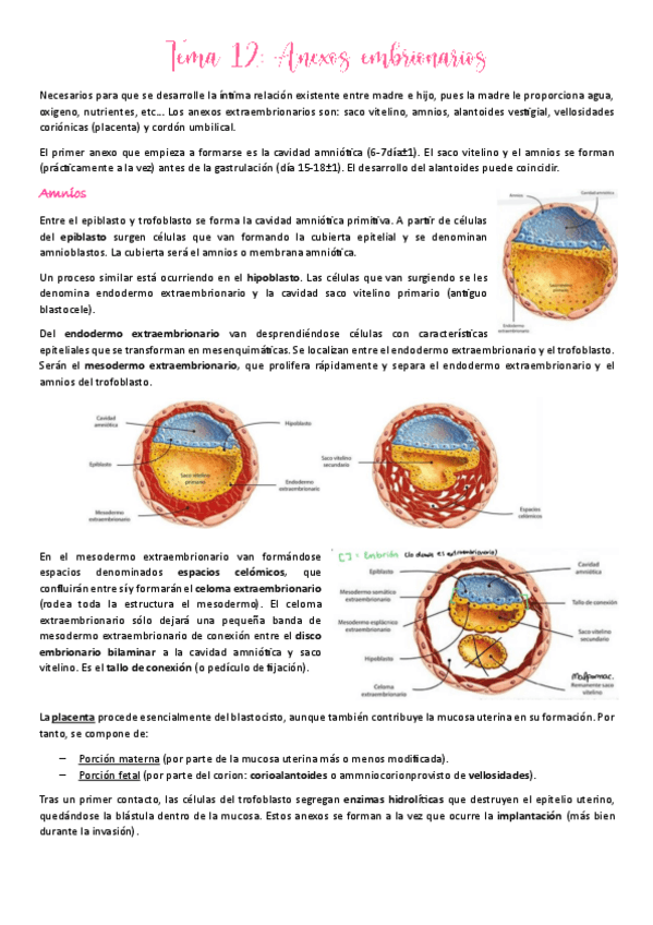 Miniatura del documento Tema-12--dibujos.pdf