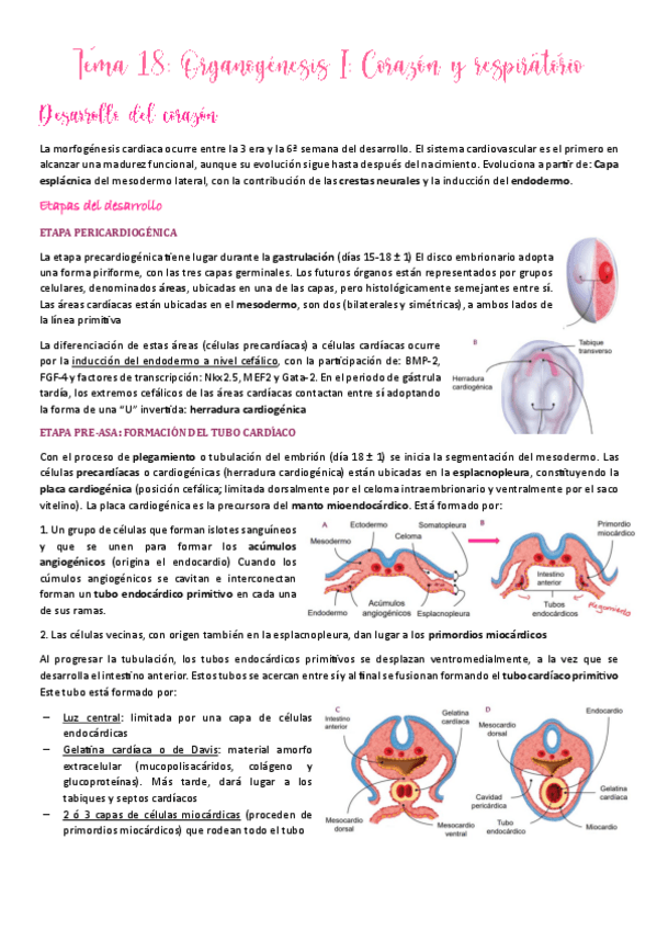 Miniatura del documento Tema-18.pdf
