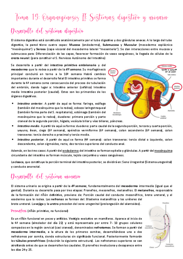 Miniatura del documento Tema-19.pdf