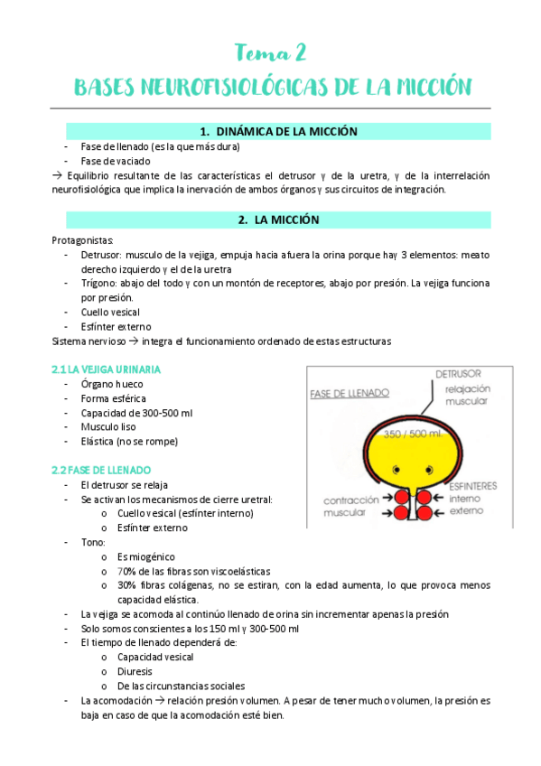 Miniatura del documento TEMA-2-URO.pdf