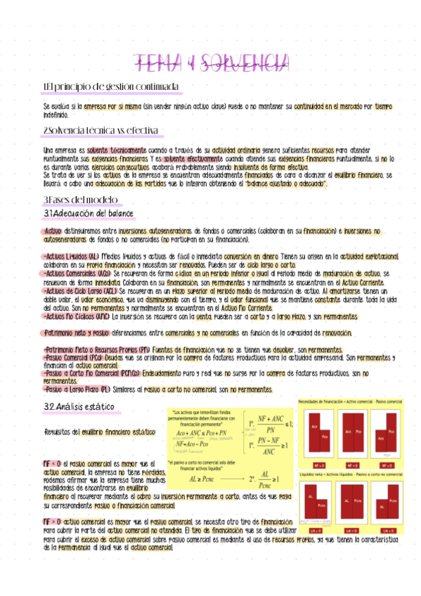 Miniatura del documento Apuntes-Tema-4-Solvencia.pdf
