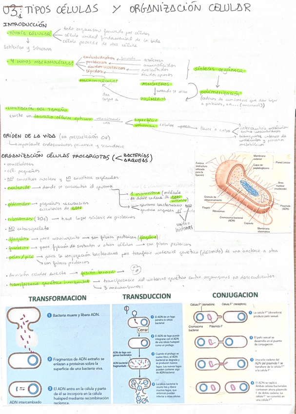 Miniatura del documento U3.pdf