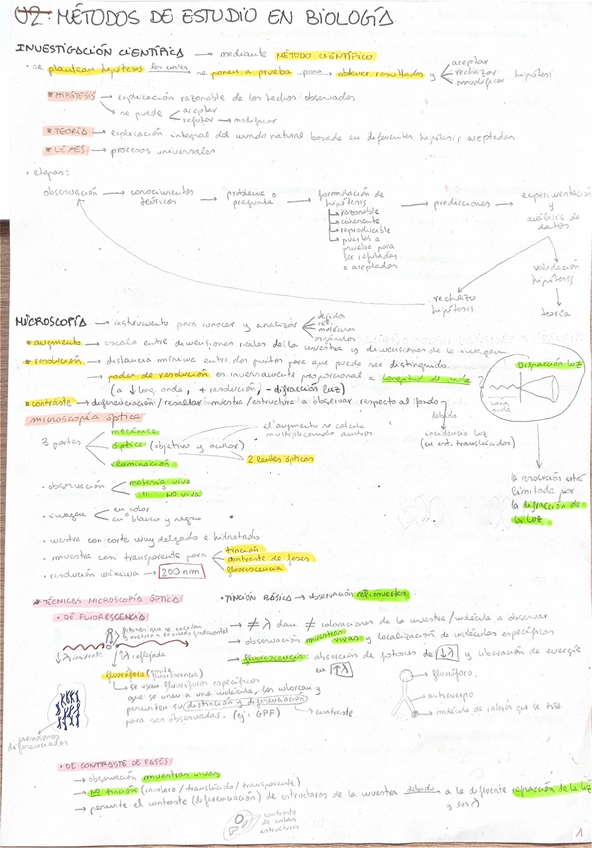 Miniatura del documento u2.-metodos-de-estudio-en-biologia.pdf