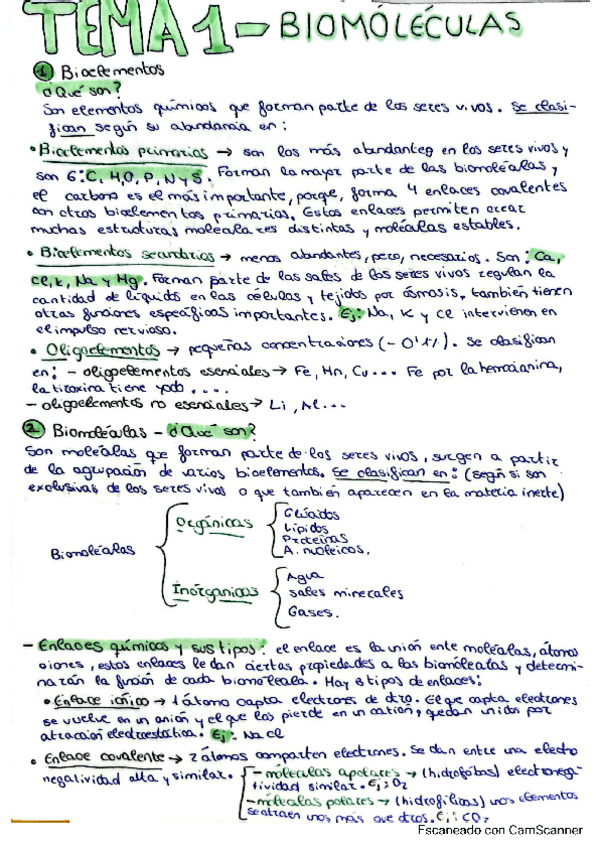 Miniatura del documento Apuntes-biologia.pdf.pdf