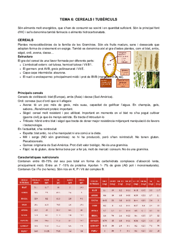 Miniatura del documento T6-Cereals-i-tuberculs.pdf