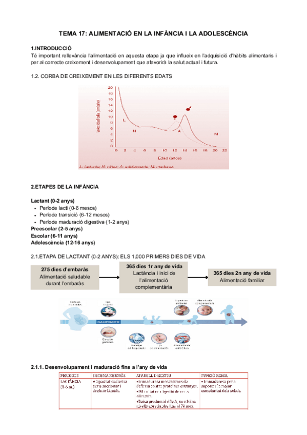 Miniatura del documento T17-Alimentacio-en-la-infancia-i-adolescencia.pdf