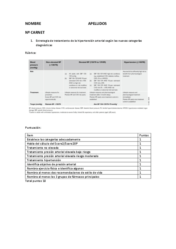 Miniatura del documento Rubrica-preguntas-cortas-2024-1.pdf