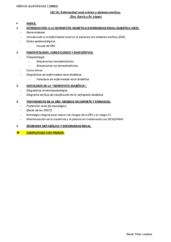 Miniatura del documento LEC-6.-Enfermedad-renal-cronica-y-diabetes-mellitus..pdf