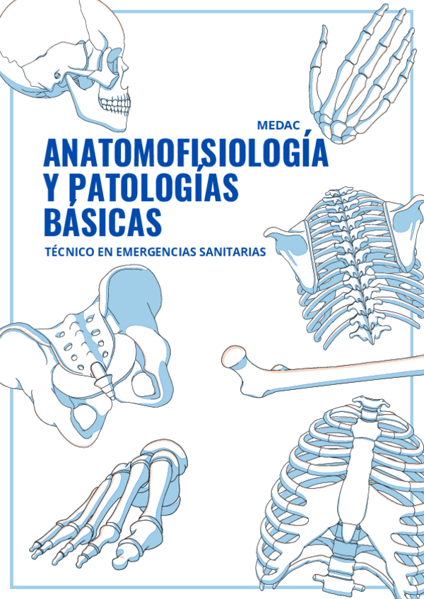 Miniatura del documento TEMAS-1-20-ANATOMIA.pdf